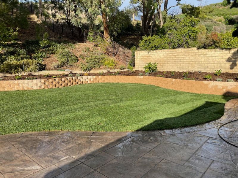 Fresh sod lawn bordered by a curved block retaining wall with new shrubs and path lights