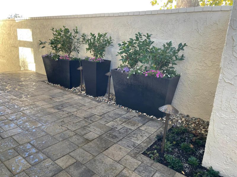 Black tapered planters with shrubs and annuals along a stucco wall with path lights