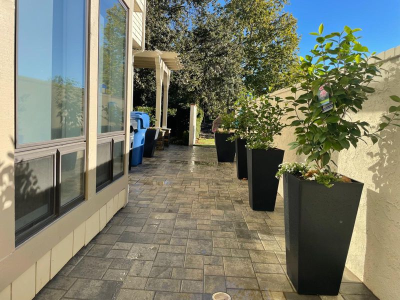 Narrow paver side walkway with tall black planters along a shingle house
