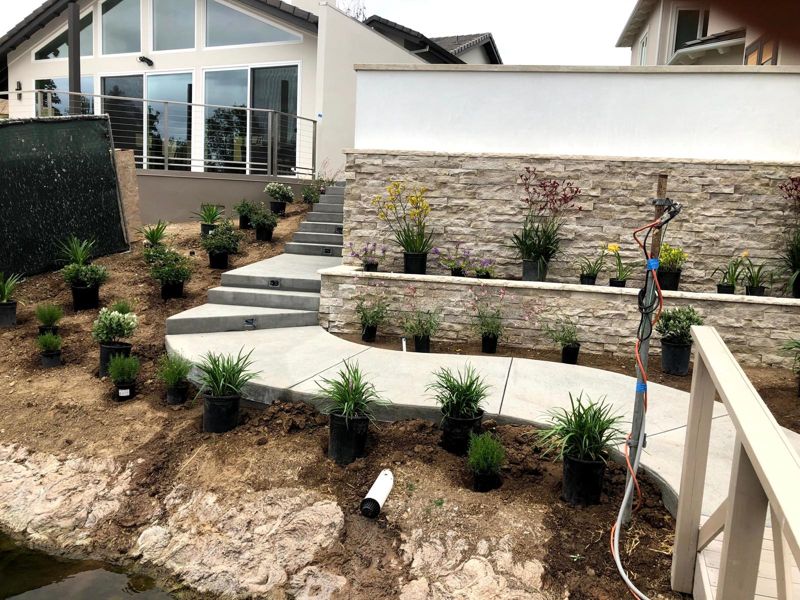 Concrete steps and a curved path beside a stacked-stone terrace with plants staged for planting
