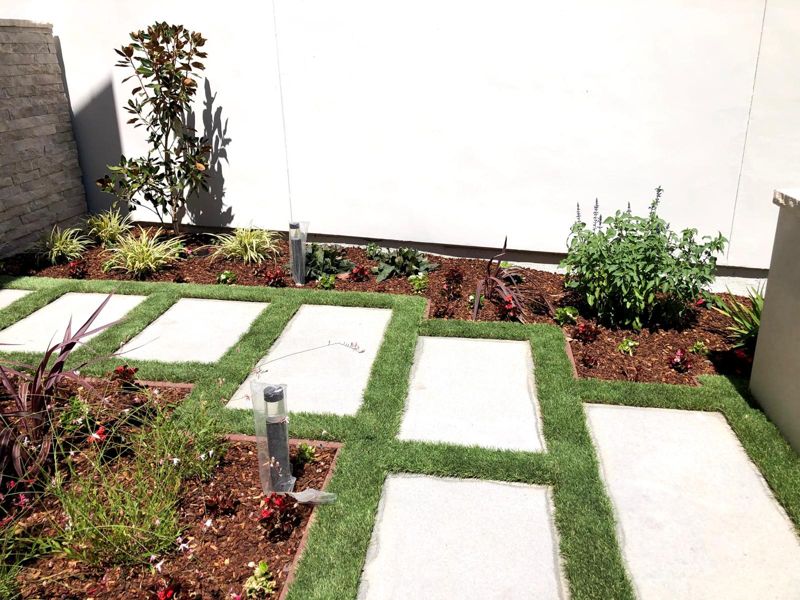 New planting bed of magnolia, liriope, salvia and phormium beside artificial turf and a paver path